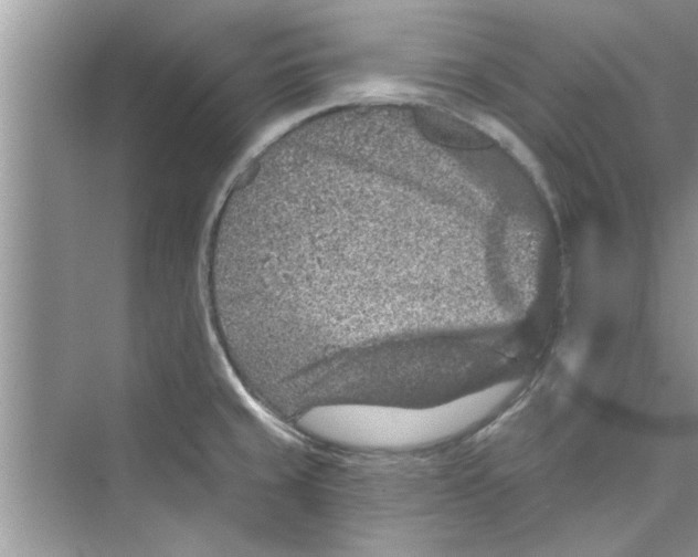 X0000072541429200608111801