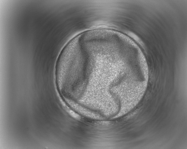 X0000072541431200608111801