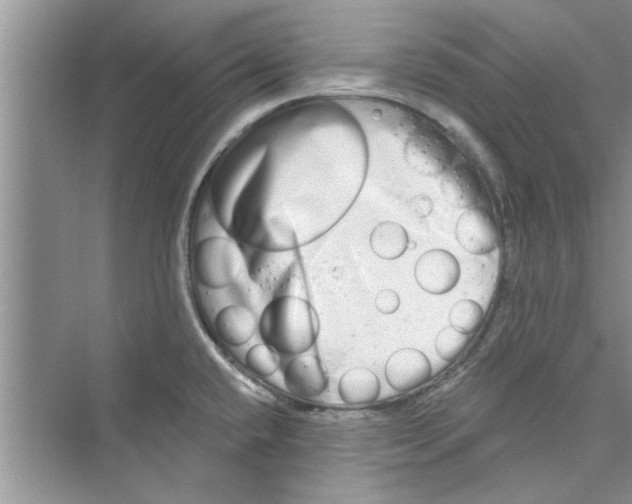 X0000072541432200608111801