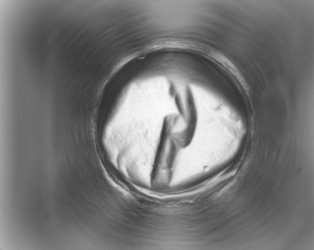 X0000072541433200608111801