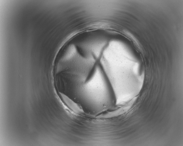 X0000072541434200608111801