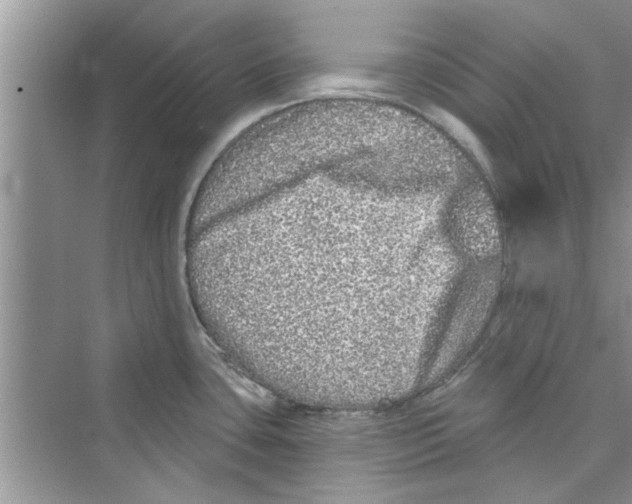 X0000072541435200608111801