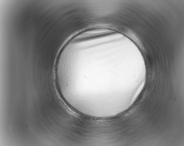 X0000072541436200608111801