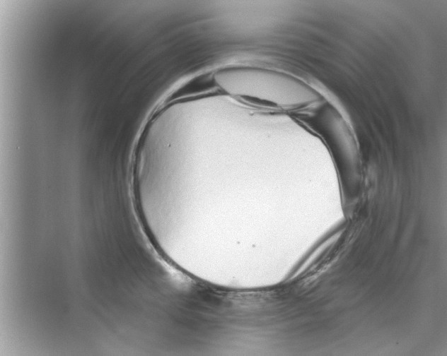 X0000072541437200608111801