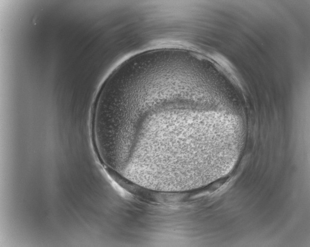 X0000072541438200608111801