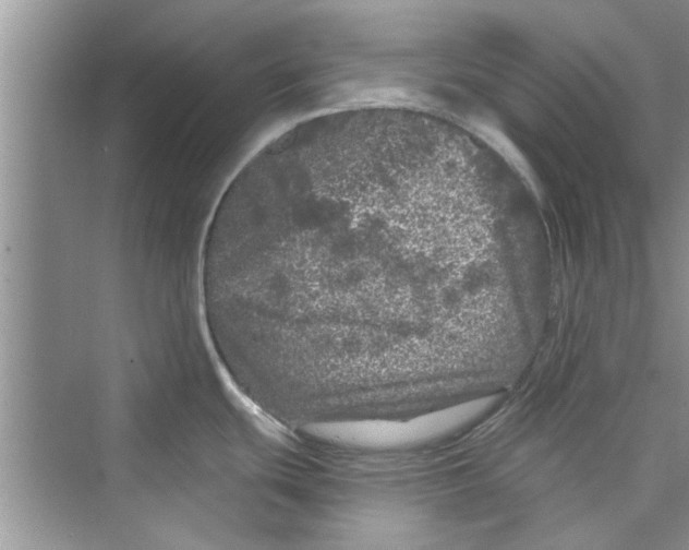 X0000072541439200608111801