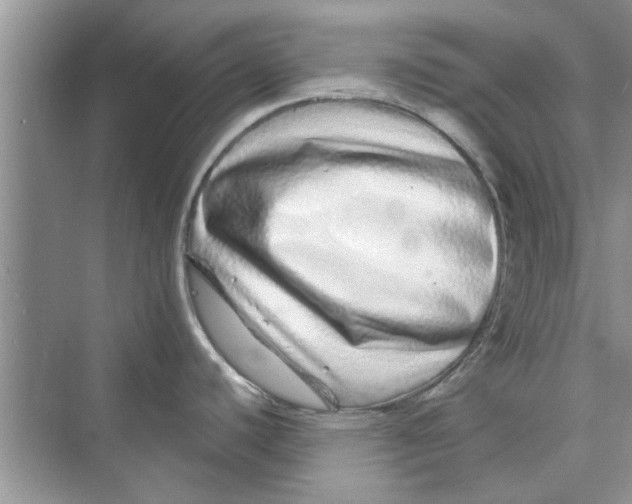 X0000072541440200608111801