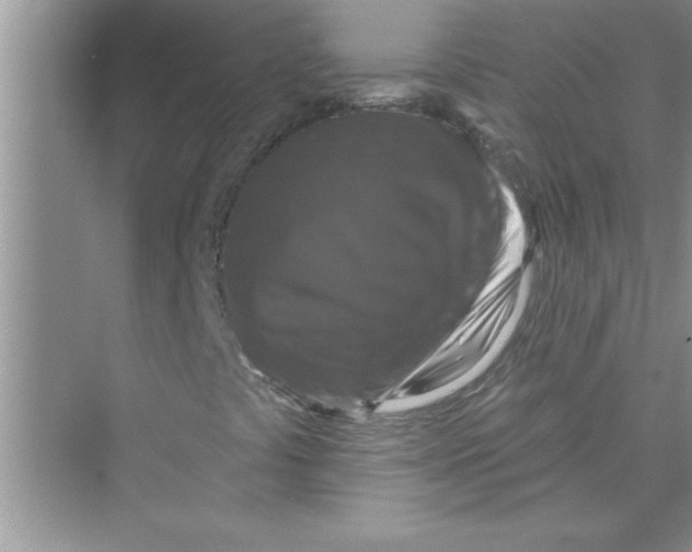 X0000072541441200608111800