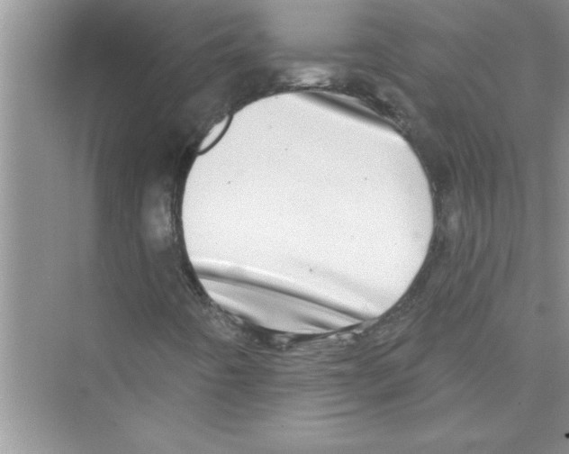 X0000072541442200608111800