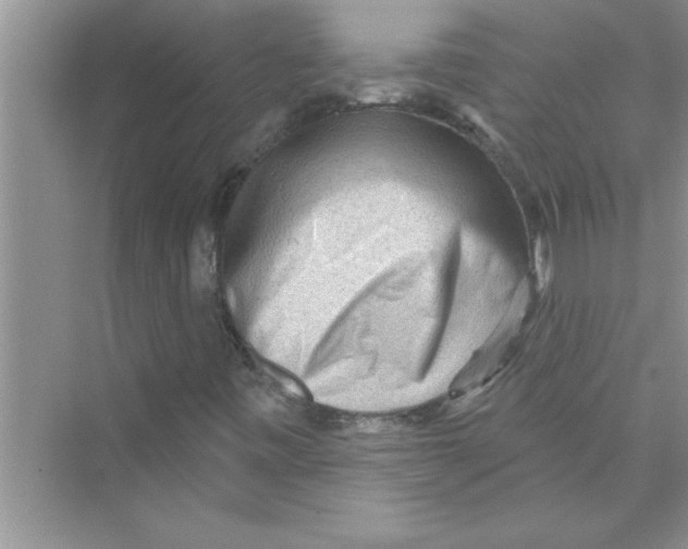 X0000072541443200608111800