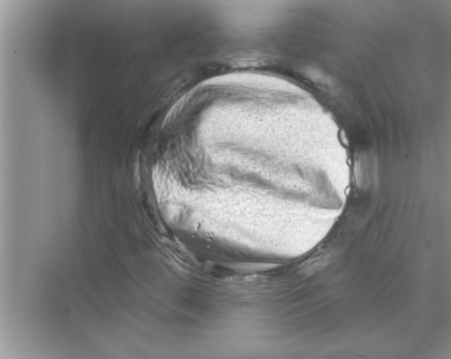 X0000072541444200608111800