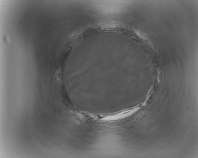 X0000072541445200608111800