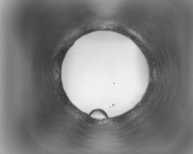 X0000072541447200608111800