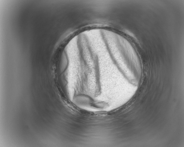 X0000072541448200608111800