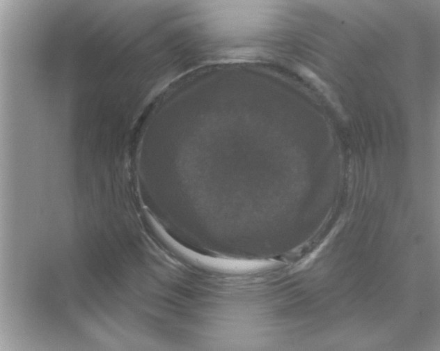 X0000072541449200608111800