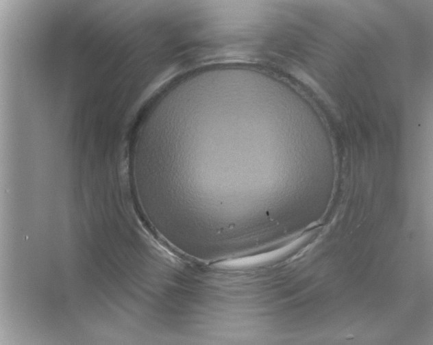 X0000072541450200608111800