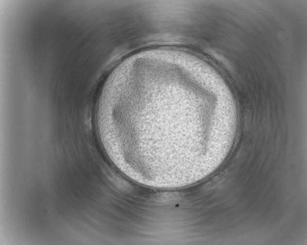 X0000072541451200608111800