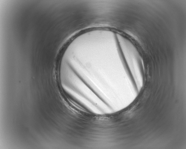 X0000072541452200608111800