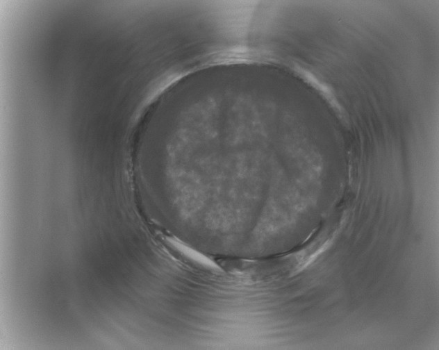 X0000072541453200608111800