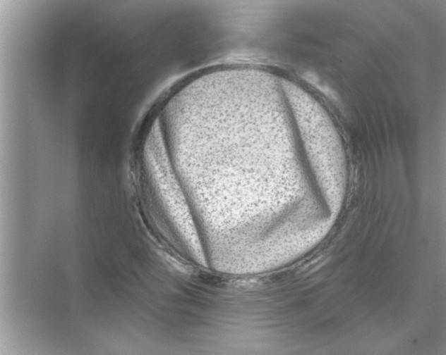 X0000072541454200608111800