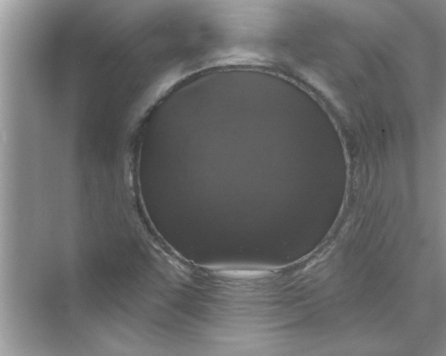 X0000072541455200608111800