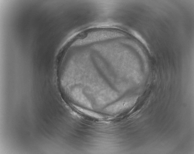 X0000072541456200608111800