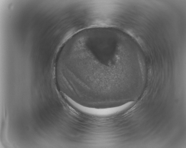 X0000072541459200608111800