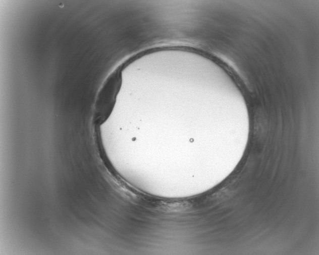 X0000072541460200608111800