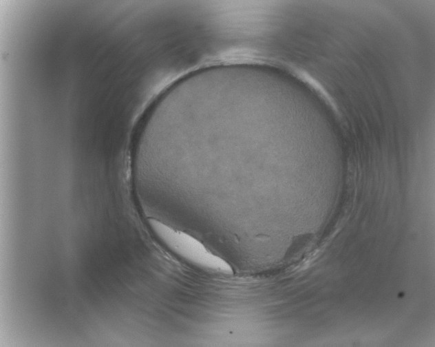 X0000072541461200608111800