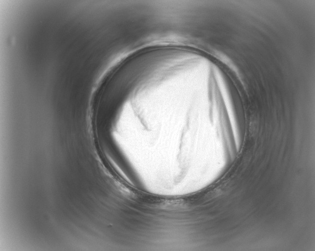 X0000072541464200608111800