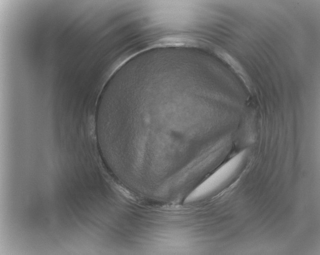 X0000072541465200608111800