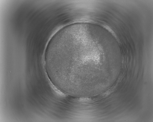 X0000072541466200608111800