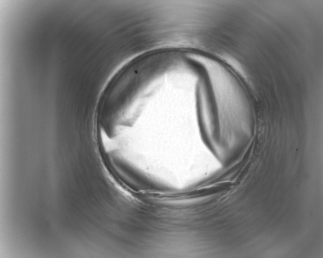 X0000072541468200608111800