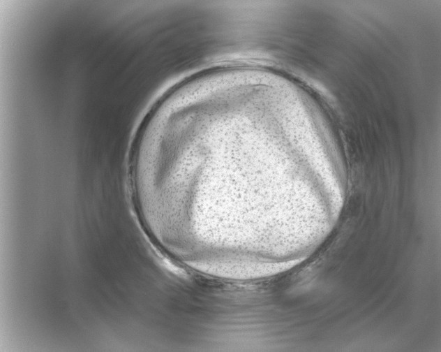 X0000072541470200608111800