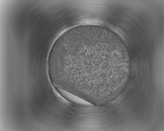 X0000072541471200608111800