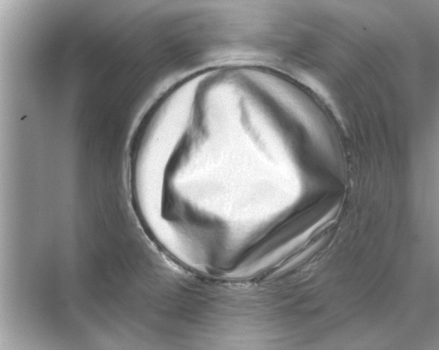 X0000072541472200608111800