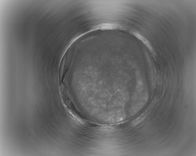 X0000072541473200608111800