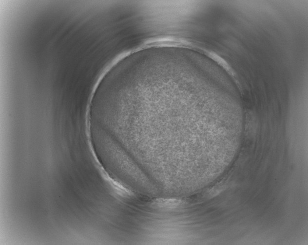 X0000072541474200608111800