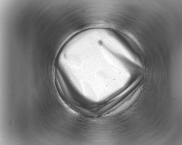 X0000072541476200608111800