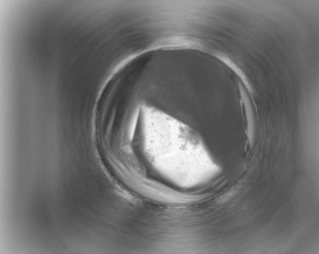 X0000072541477200608111800