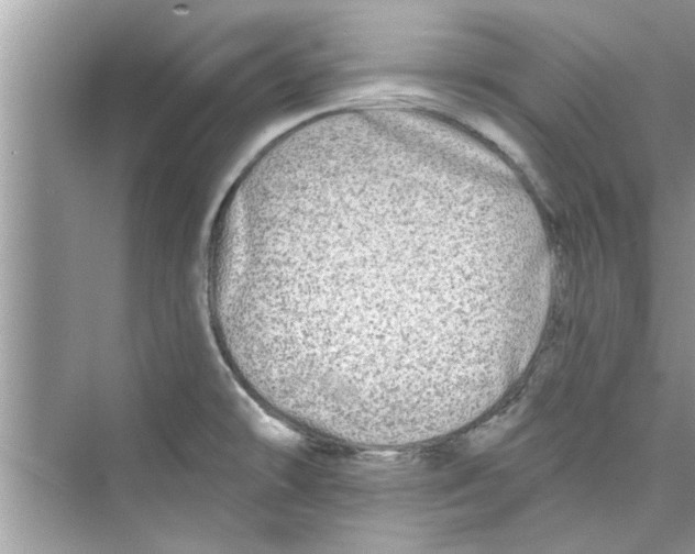 X0000072541478200608111800