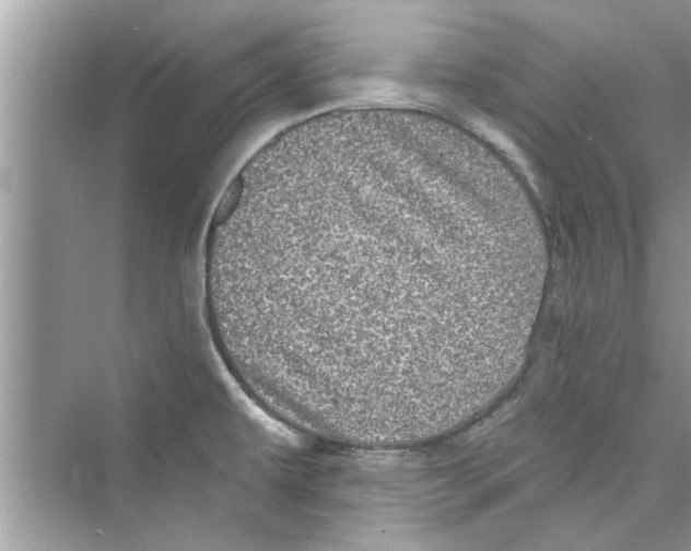 X0000072541479200608111800