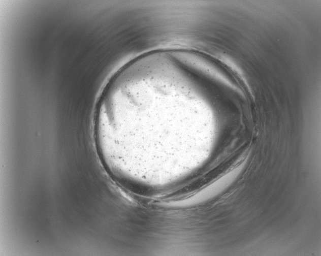 X0000072541480200608111800