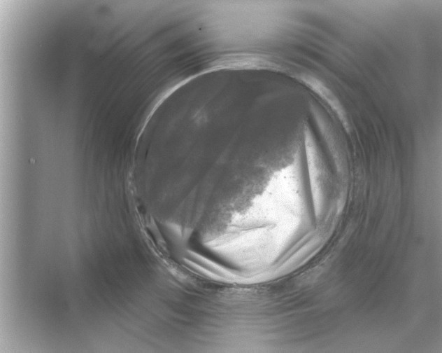 X0000072541481200608111800