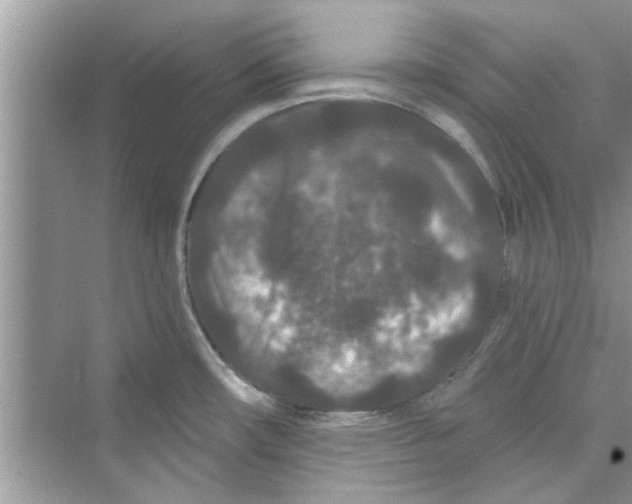 X0000072541482200608111800