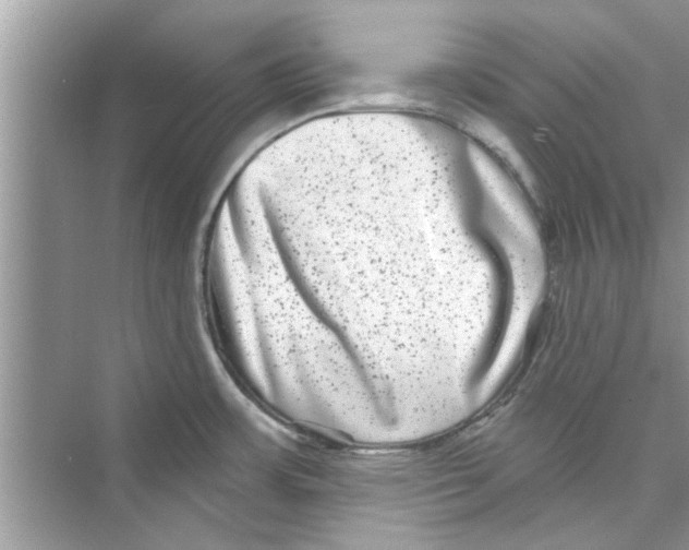 X0000072541483200608111800