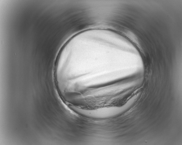 X0000072541484200608111800