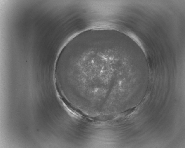 X0000072541485200608111800