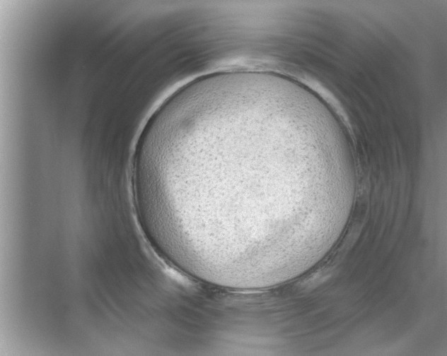 X0000072541486200608111800