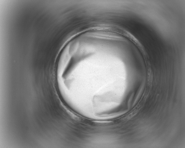 X0000072541487200608111800